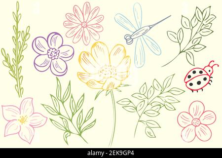 Set of flowers and branches, ladybug dragonfly. Vector, spring elements. Freehand colored sketch. Stock Vector
