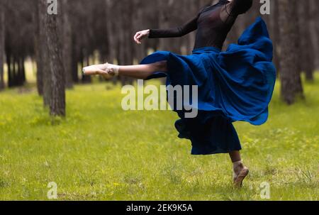 Ballet dancer wearing ballet shoe dancing while standing in forest Stock Photo