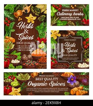 Herbs and spices vector posters of natural food seasonings. Basil, pepper and rosemary, cinnamon, vanilla and ginger, nutmeg, garlic and chilli, bay l Stock Vector