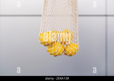 Recycled bag of fresh lemons against gray wall Stock Photo