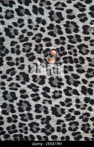 Eye of teenage girl peeking through hole in leopard print pattern Stock Photo