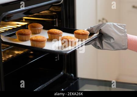 Woman putting with cupcakes muffins to oven in kitchen, closeup shot Stock Photo