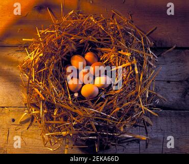 Nest Egg concept with straw nest and dappled light on a wooden background with space Stock Photo