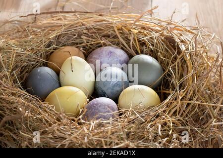 Easter composition - colorful Easter eggs painted with natural dyes in a nest of hay. Stock Photo