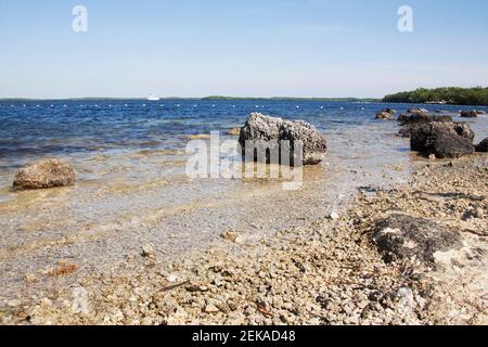 Rocks on the coast, John Pennekamp Coral Reef State Park, Key Largo, Florida Keys, Florida, USA Stock Photo