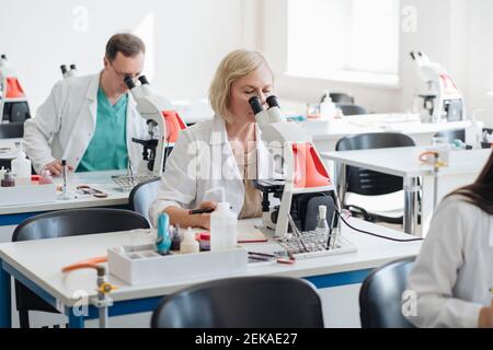 Senior researchers working in science class Stock Photo