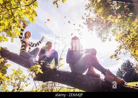 Friends enjoying while sitting on tree at countryside Stock Photo