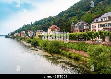 Germany, Baden-Wurttemberg, Heidelberg, Bank of Neckar and riverside houses in Neuenheim district Stock Photo