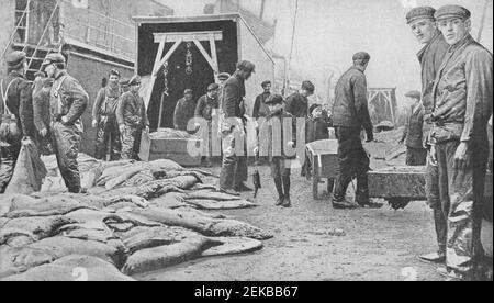 Early 20th century photo of heaps of seal skins at a dock in Newfoundland Canada Stock Photo