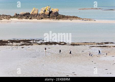 Wattwanderung zur Gezeiteninsel Ebihens mit Ausblick auf die Küste bei Saint Malo in der Bretagne, Frankreich. Stock Photo