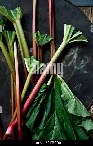 Fresh rhubarb on rustic baking sheet Stock Photo