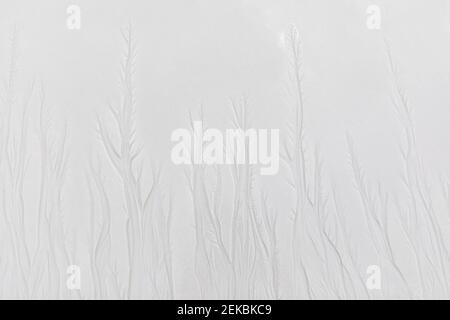 White sand with pattern Stock Photo