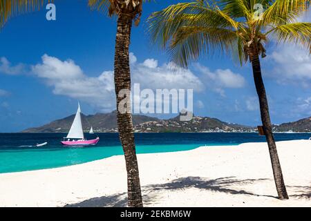 View Between 2 Palm Trees of Casuarina Beach, Turquoise Caribbean Sea, Pink Yacht and Union island with Blue Sky. Palm Island
