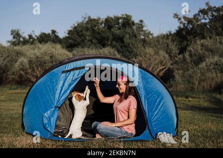 Cheerful woman playing with dog while sitting in tent Stock Photo