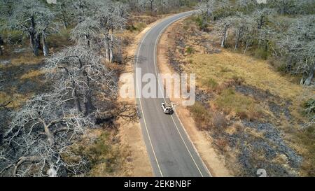 Aerial view of a jeep on a road surrounded by massive baobab trees, Cabo Ledo area, Angola Stock Photo
