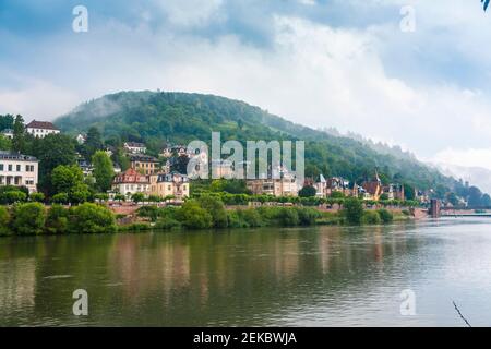 Germany, Baden-Wurttemberg, Heidelberg, Neckar and riverside houses in Neuenheim district Stock Photo