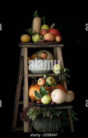 Still life of various pumpkins, squashes and ripe fruits on rustic ladder Stock Photo