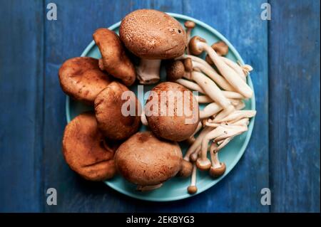 Plate with brown edible mushrooms Stock Photo