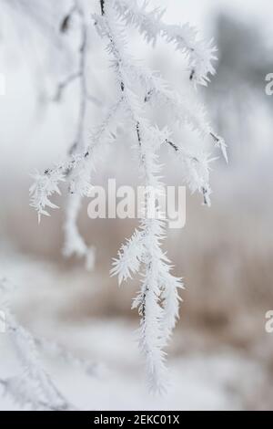 Winter snow hi-res stock photography and images - Alamy