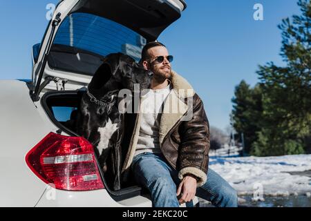 Smiling man with Great Dane dog looking away while sitting in car trunk on sunny day Stock Photo