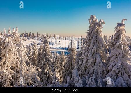 Germany, Baden Wurttemberg, Black Forest in winter Stock Photo