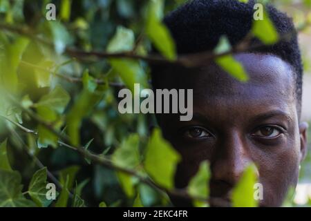 Young man with brown eyes seen through leaves Stock Photo