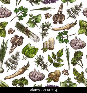 Spices and herbs vector seamless pattern background with vegetable seasonings and food condiments. Parsley, garlic and dill, nutmeg, rosemary and thym Stock Vector