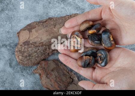 Hands holding fried chestnuts on a gray background Stock Photo