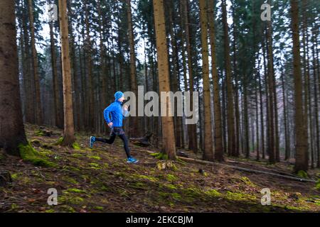 Active young man running on trail in forest Stock Photo