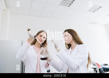 Scientists in white coats doing experiment in lab Stock Photo