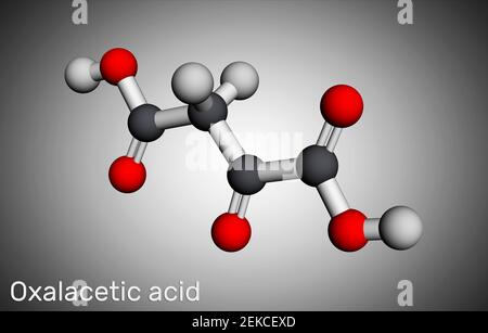 Oxaloacetic acid, oxalacetic acid, OAA, oxaloacetate molecule. It is oxodicarboxylic acid,  metabolic intermediate. Molecular model. 3D rendering. 3D Stock Photo