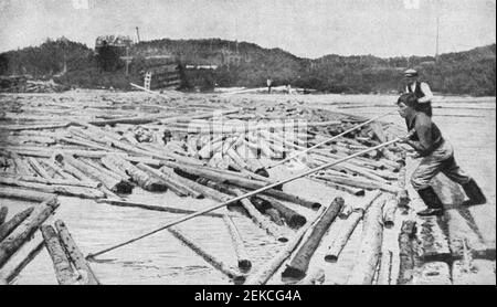 Early 20th century photo of men pushing timber rafting logs on a river in Newfoundland Canada Stock Photo