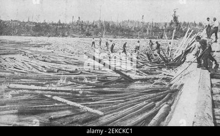 Early 20th century photo of men pushing timber rafting logs on a river in Newfoundland Canada Stock Photo