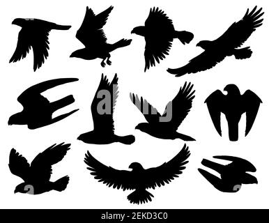 Eagle, falcon and hawk black silhouettes with flying and hunting birds of prey. Heraldic animals with spread wings and attacking claws, american patri Stock Vector