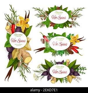 Hot spices vector icons with green herbs, vegetable seasonings and food condiments. Chilli pepper, vanilla pod and cinnamon stick, mint, basil and gin Stock Vector