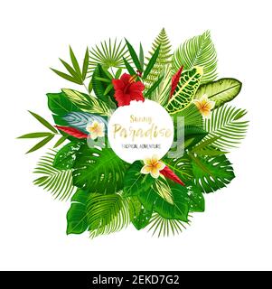 Tropical floral poster with exotic palm leaf and flower. Green foliage of jungle tree and plant frame with monstera, fern and bamboo, hibiscus, plumer Stock Vector