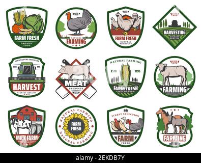 Milk, meat and vegetable farm retro badges with vector animals and crop plants, agriculture design. Barn, tractor on field and cow, chicken, turkey an Stock Vector