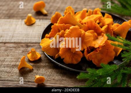 Mushrooms chanterelles in an iron retro bowl and forest moss on a wooden old background. Mock up. Top view. Stock Photo