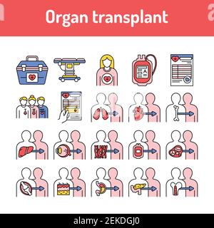 Organ transplant line icons set. Isolated vector element. Stock Vector