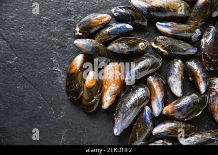 Raw, uncooked Scottish rope grown mussels bought from a Waitrose supermarket. Brexit on January 31 2020 caused disruption to some of the UK’s shellfis Stock Photo