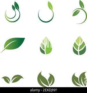 Leaves icon vector set isolated on white background. Various shapes of green leaves of trees and plants. Elements for eco and bio logos. Stock Vector