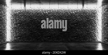 Light of neon tubes on a grunge brick wall. Black and white background 3d illustration Stock Photo