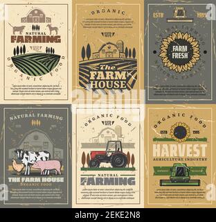 Agriculture and farming vector design with farm field, tractor and barn, cow animals, vegetables and sunflower, chicken, rooster and horse. Meat, milk Stock Vector