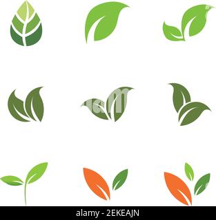 Leaves icon vector set isolated on white background. Various shapes of green leaves of trees and plants. Elements for eco and bio logos. Stock Vector