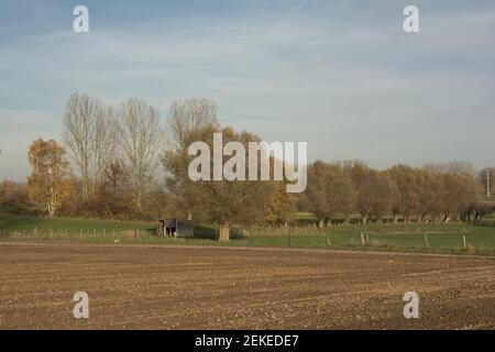 autumn landscape with meadows and colorful trees in flemish ardennes, Belgium Stock Photo