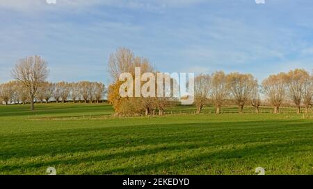 autumn landscape with meadows and colorful trees in flemish ardennes, Belgium Stock Photo