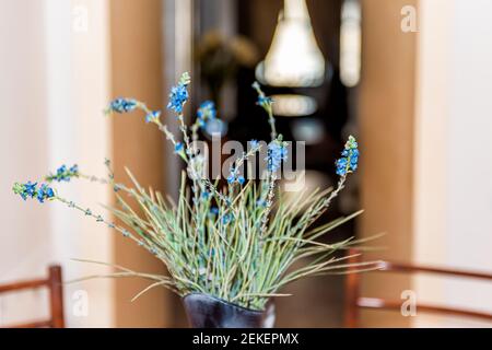 Dining table with macro closeup of fake blue flowers in vase in old-fashioned narrow apartment with bokeh background Stock Photo