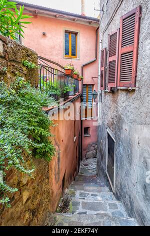 Chiusi, Italy road narrow empty lane alley street in small historic town village in Tuscany colorful wall of houses and garden plants Stock Photo