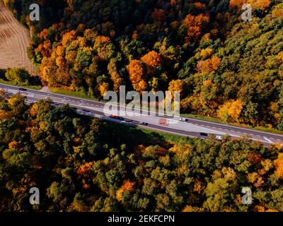 Forest road with cars and colorful autumn trees. Aerial view from drone