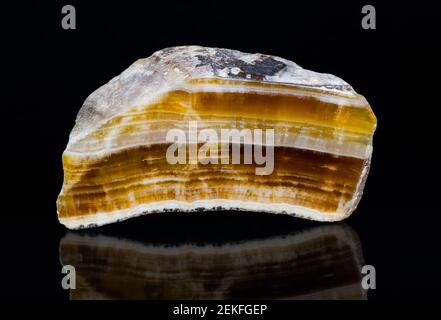 Cut polished aragonite gemstone with reflection on a black background. Close-up of beautiful yellow, brown and white striped cross-section of mineral.